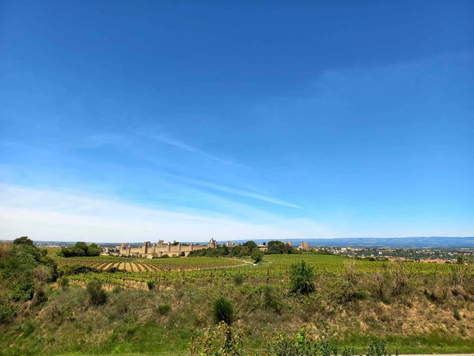 Gite With Private Jacuzzi, Shiatsu & Healthy Food Ladern-sur-Lauquet Exteriör bild