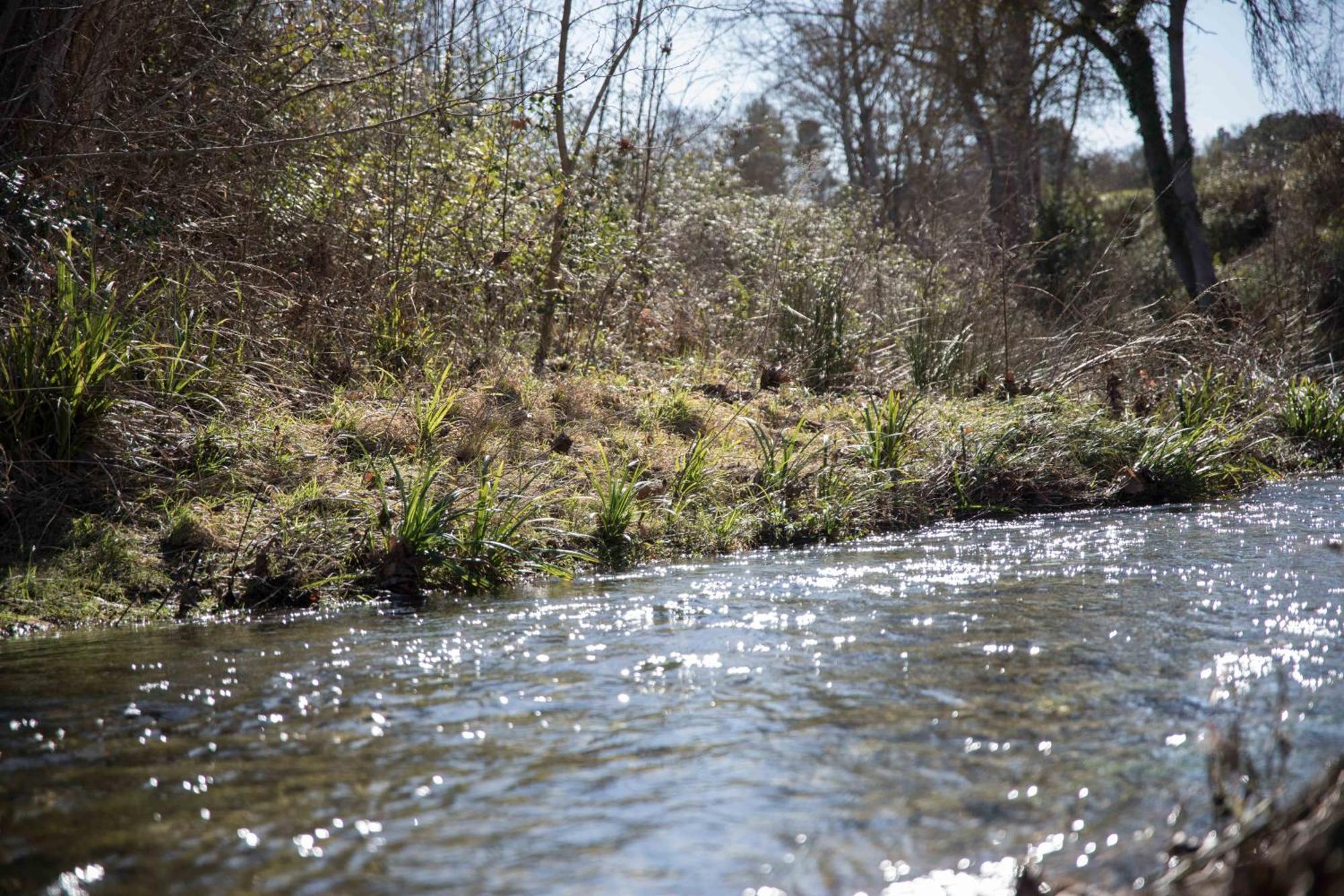Gite With Private Jacuzzi, Shiatsu & Healthy Food Ladern-sur-Lauquet Exteriör bild